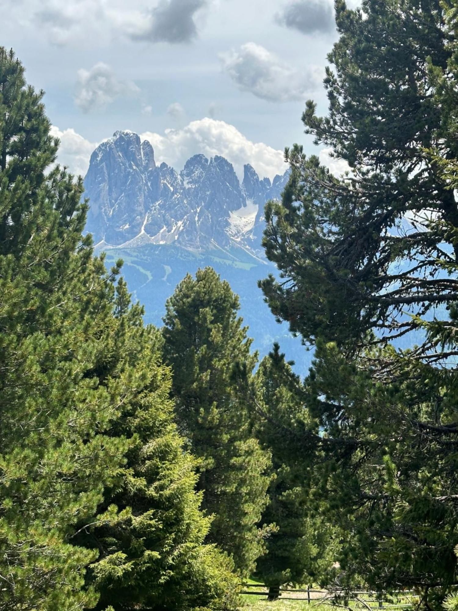 Chalet Da Mont Resciesa Ortisei Luaran gambar